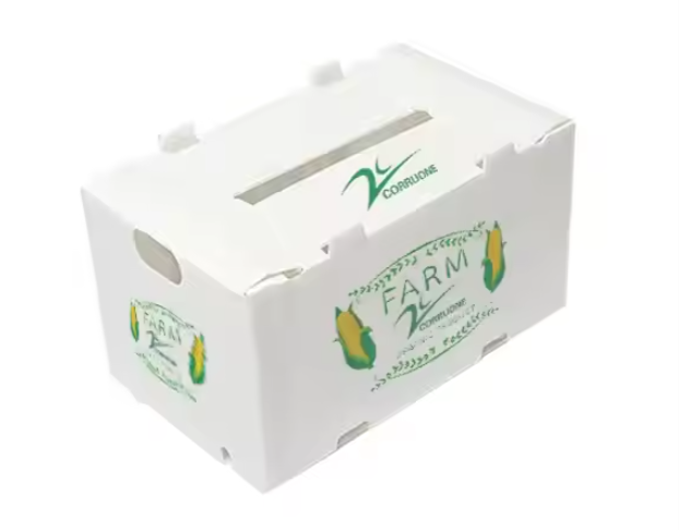 Obst- und Gemüseverpackungsbox