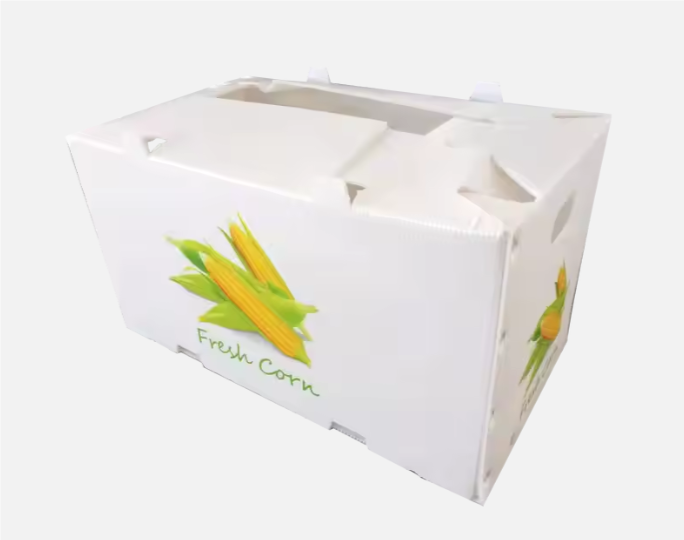 Obst- und Gemüseverpackungsbox