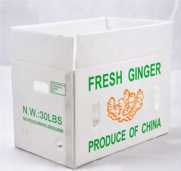 Obst- und Gemüseverpackungsbox